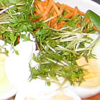 Partyservice Hannover Partyservice Hameln - Fleischerei Bad Mnder, Wennigsen, Coppenbrgge bis Springe
